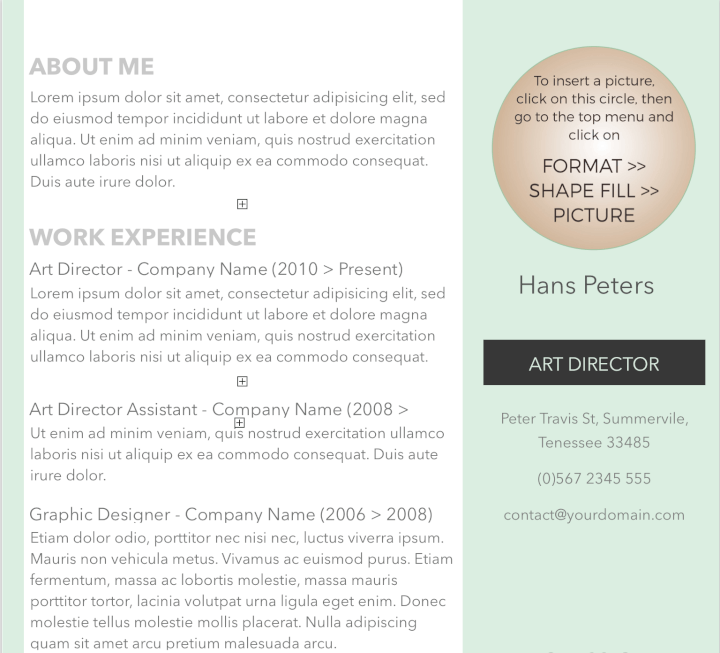 word resume templates - mint resume template