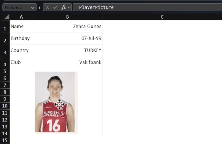 picture-lookup-challenge